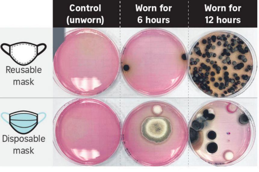 Why you should wash your mask regularly